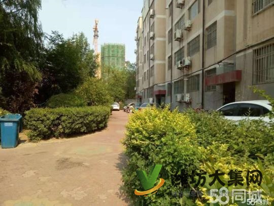 三室两厅一卫，地下室，停车位。公摊面积小