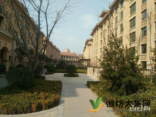 青云国际城，3室2厅2卫大H户型，房主急售急售