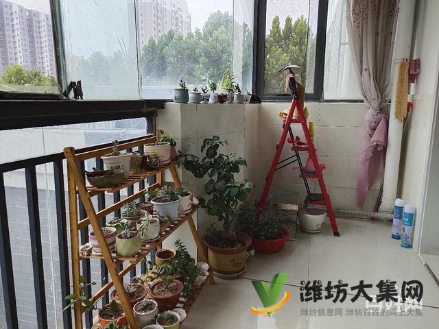 市北区中央世家3楼118平 三室两厅 精装 送30