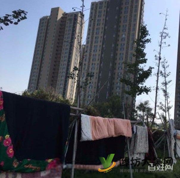 买奥体近大三室，超底价格，视野 开阔，全天采光南北通透