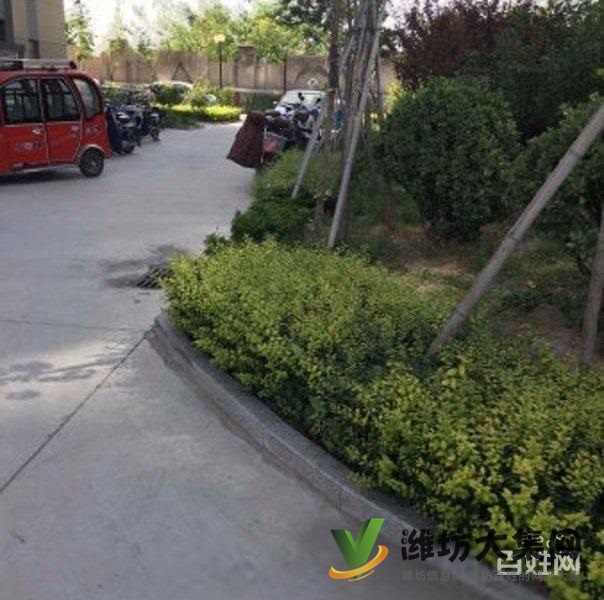 买奥体近大三室，超底价格，视野 开阔，全天采光南北通透