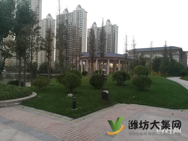 恒大名都  精装未住   113平仅售95万