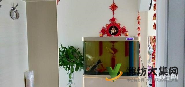 抢房了 正阳花园 精装修 三室 134平送储藏室