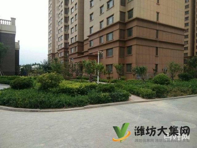 低首付 区政府近 凡尔赛丽都 客厅朝阳 新房未住