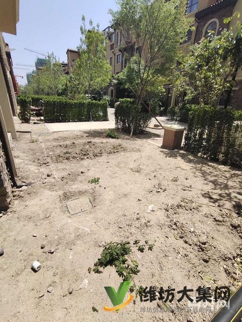 玫瑰公馆一楼带大院！送城市会客厅！三居，更名贷款，