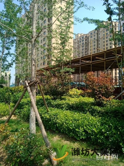 145平大H四室两卫仅售4880元每平