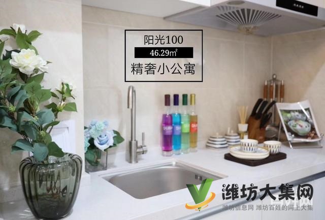 40~60平收益之王精装公寓月租1600~2200