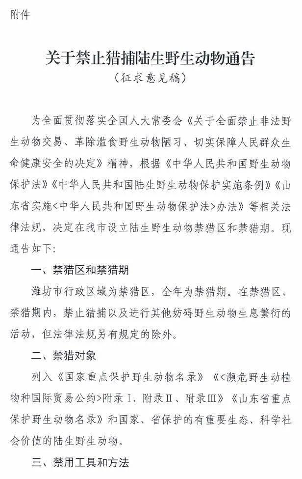 征求意见！潍坊全年禁止猎捕陆生野生动物！