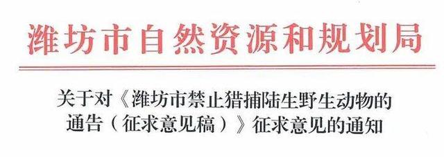 征求意见！潍坊全年禁止猎捕陆生野生动物！