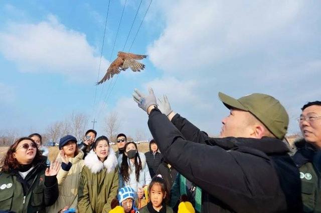 征求意见！潍坊全年禁止猎捕陆生野生动物！