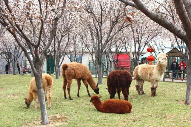 最新：潍坊32家恢复开放景区名单公布 清明踏春看这里附优惠政策