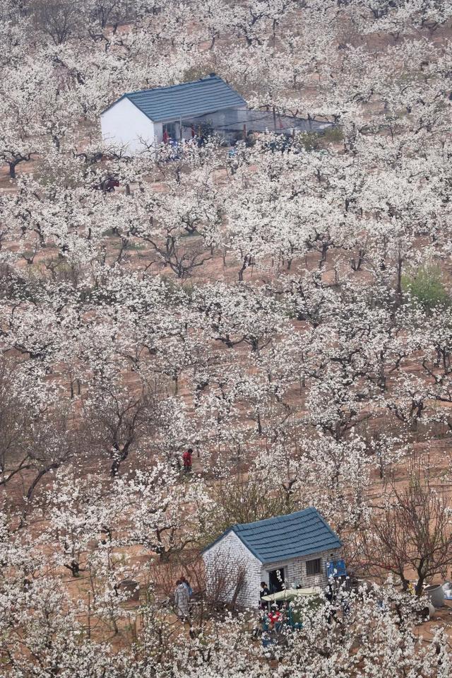 最新：潍坊32家恢复开放景区名单公布 清明踏春看这里附优惠政策