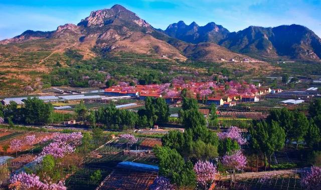 最新：潍坊32家恢复开放景区名单公布 清明踏春看这里附优惠政策