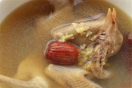 陈皮鸽子汤