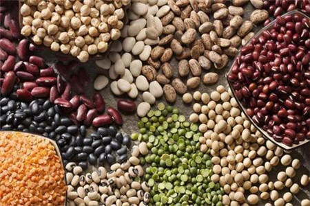 豆类食物