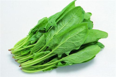 菠菜