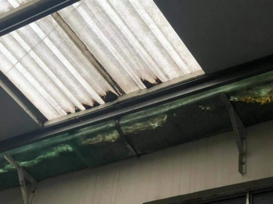 重拳出击！潍坊这13家单位被依法处罚