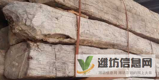 潍坊进口原木及木材清关报关